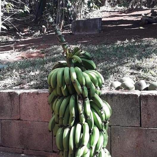 Casa grande, bem espaçosa, em Itambe do Mato Dentro, Cabeça de Boi Vila Exterior foto